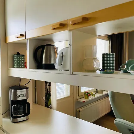 Kotoisa Saunallinen Kaksio! Apartment Kuopio