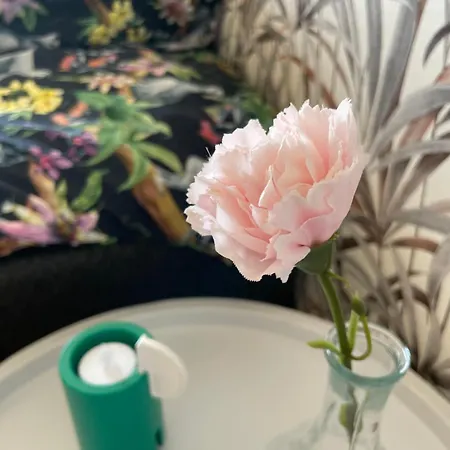 Apartamento Kotoisa Saunallinen Kaksio!