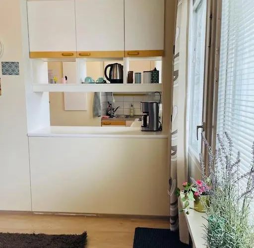 Kotoisa Saunallinen Kaksio! Куопио