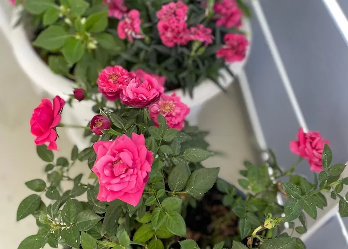 Kotoisa Saunallinen Kaksio! Апартаменты *